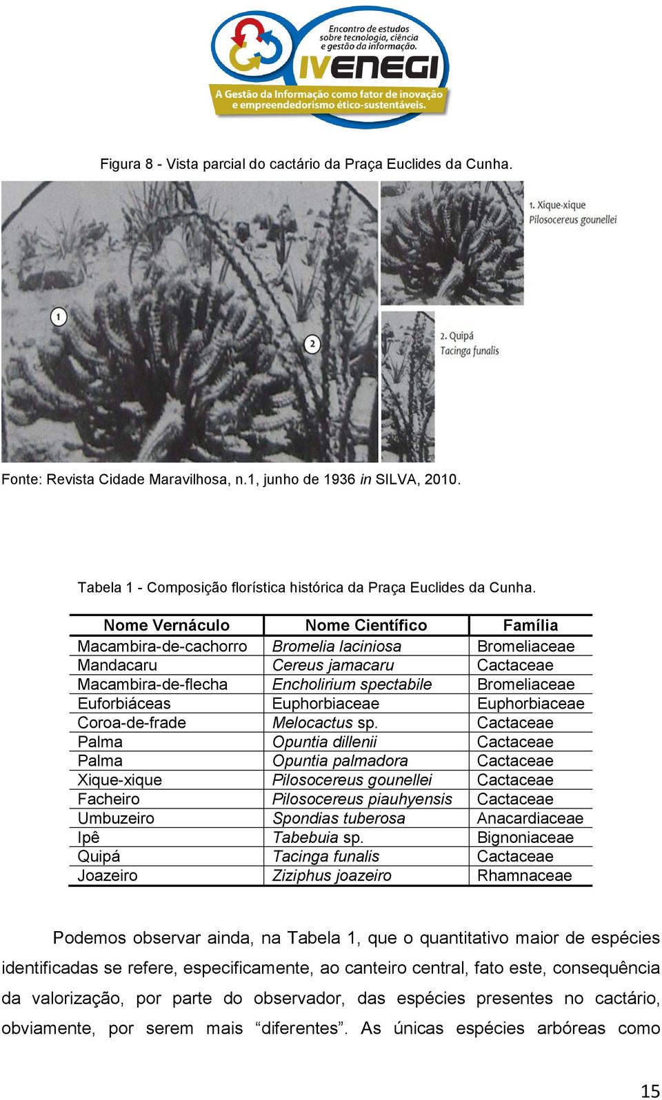 Nome Vernáculo Nome Científico Família Macambira-de-cachorro Bromelia laciniosa Bromeliaceae Mandacaru Cereus jamacaru Cactaceae Macambira-de-flecha Encholirium spectabile Bromeliaceae Euforbiáceas