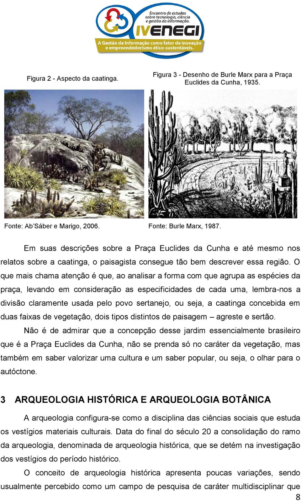 O que mais chama atenção é que, ao analisar a forma com que agrupa as espécies da praça, levando em consideração as especificidades de cada uma, lembra-nos a divisão claramente usada pelo povo