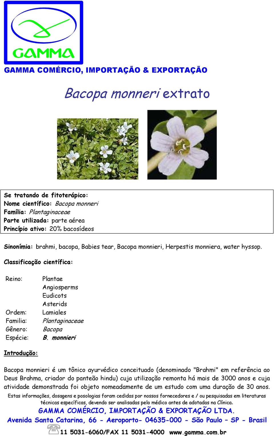Classificação científica: Reino: Ordem: Familia: Gênero: Espécie: Plantae Angiosperms Eudicots Asterids Lamiales Plantaginaceae Bacopa B.