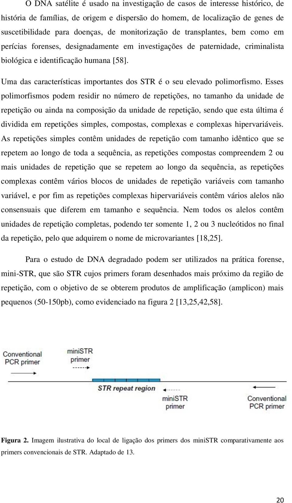 Uma das características importantes dos STR é o seu elevado polimorfismo.