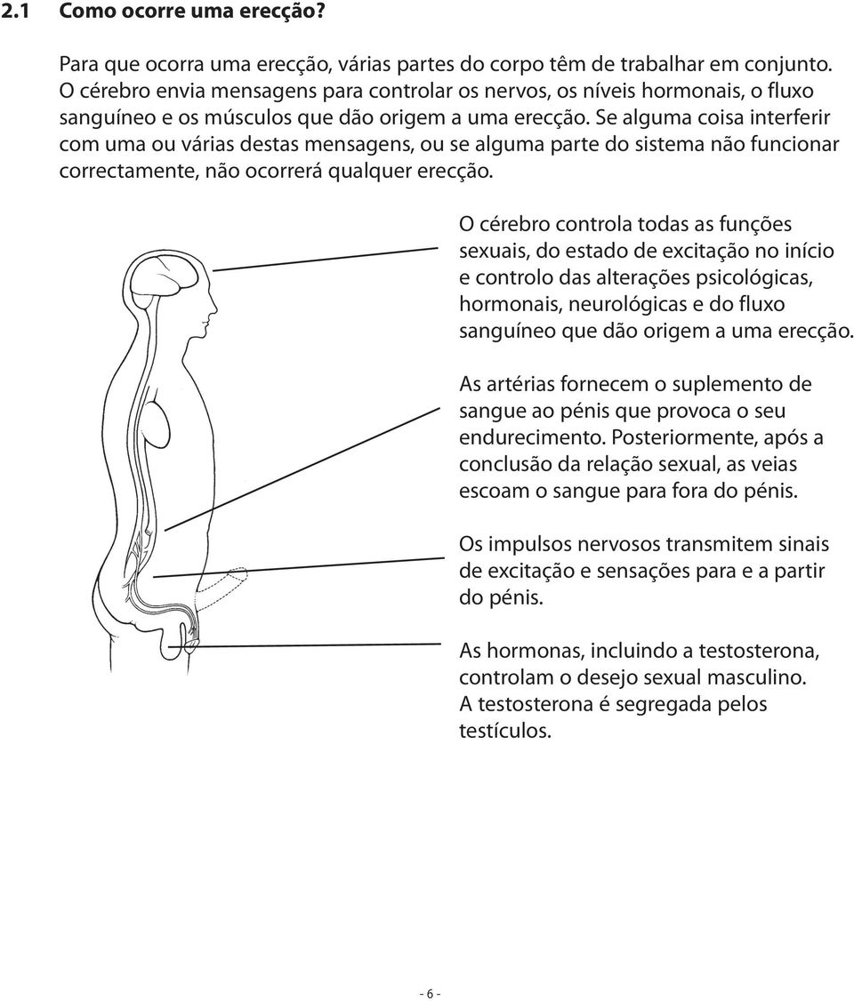 Se alguma coisa interferir com uma ou várias destas mensagens, ou se alguma parte do sistema não funcionar correctamente, não ocorrerá qualquer erecção.