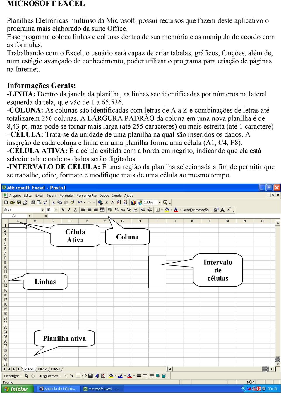 Trabalhando com o Excel, o usuário será capaz de criar tabelas, gráficos, funções, além de, num estágio avançado de conhecimento, poder utilizar o programa para criação de páginas na Internet.