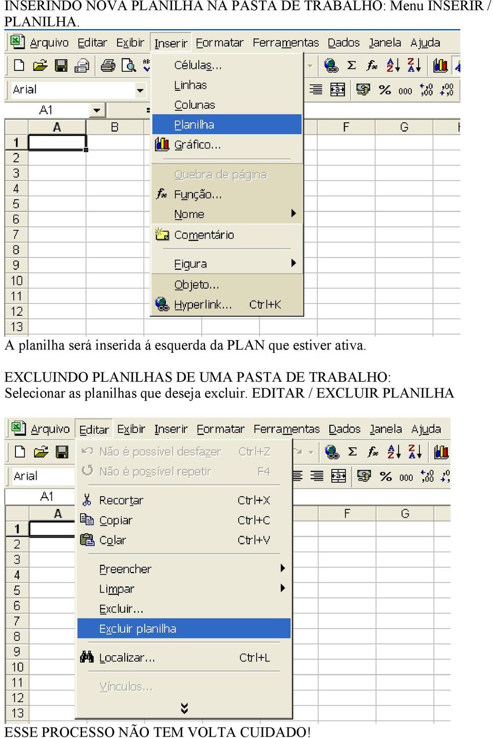 EXCLUINDO PLANILHAS DE UMA PASTA DE TRABALHO: Selecionar as planilhas