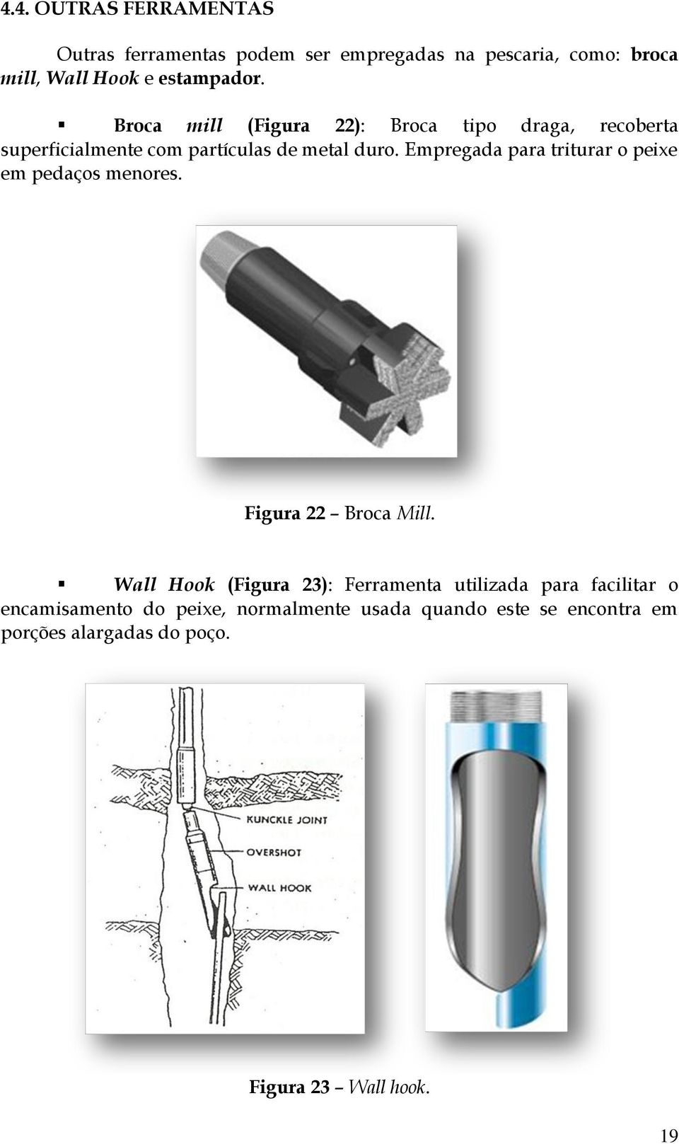 Empregada para triturar o peixe em pedaços menores. Figura 22 Broca Mill.