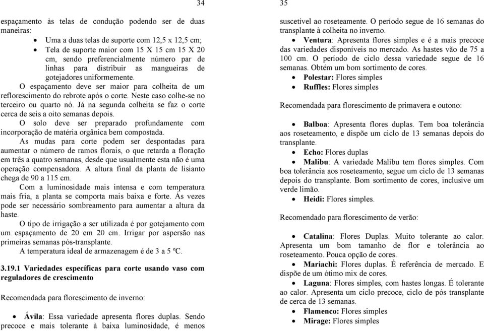 Neste caso colhe-se no terceiro ou quarto nó. Já na segunda colheita se faz o corte cerca de seis a oito semanas depois.