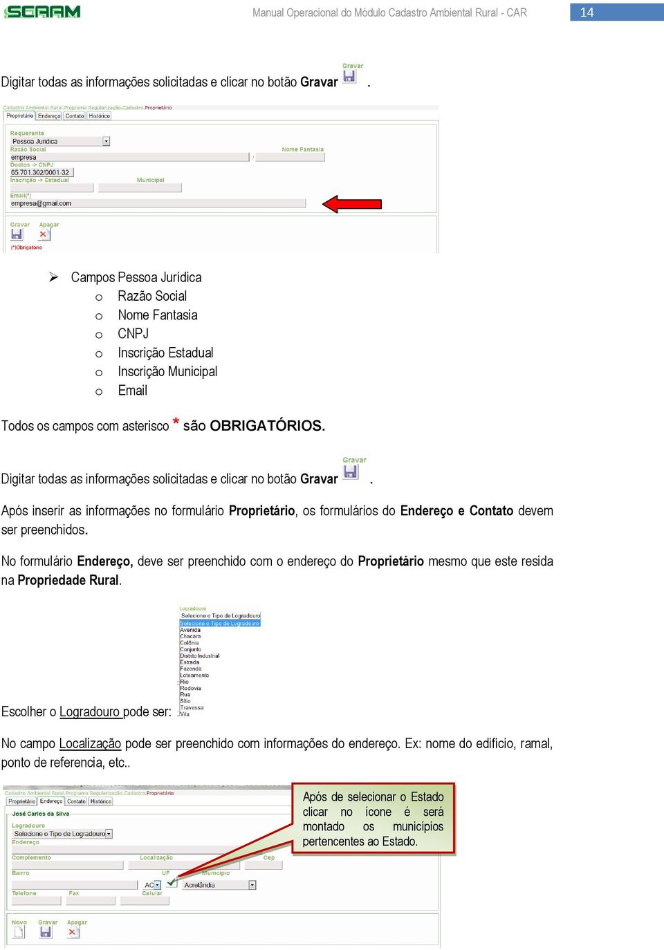 Digitar todas as informações solicitadas e clicar no botão Gravar. Após inserir as informações no formulário Proprietário, os formulários do Endereço e Contato devem ser preenchidos.