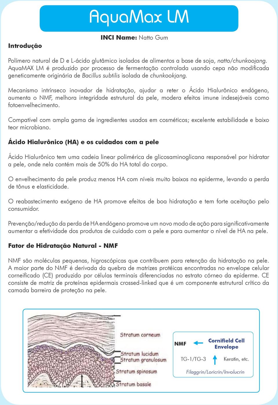 Mecanismo intrínseco inovador de hidratação, ajudar a reter o Ácido Hialurônico endógeno, aumenta o NMF, melhora integridade estrutural da pele, modera efeitos imune indesejáveis como