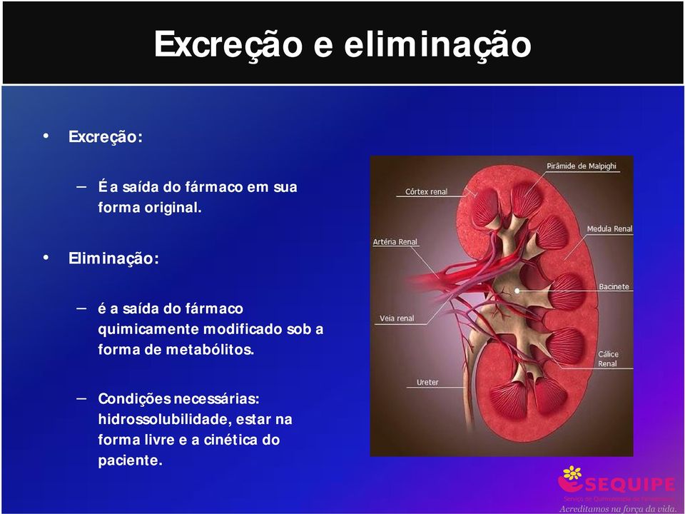 Eliminação: é a saída do fármaco quimicamente modificado sob a