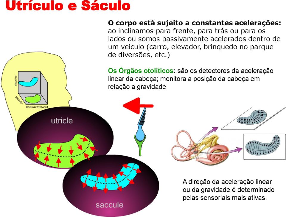 diversões, etc.