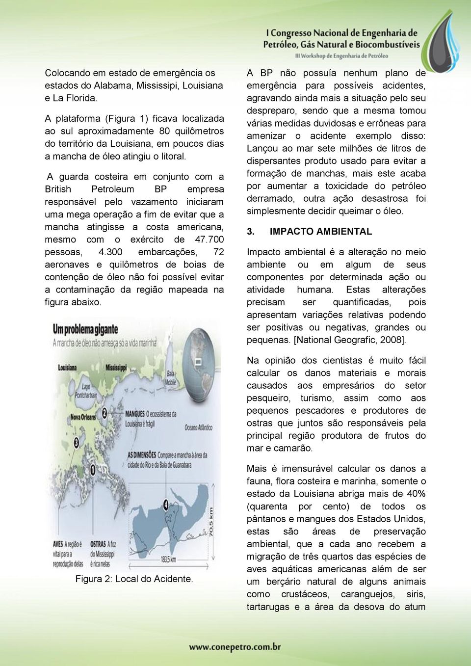 A guarda costeira em conjunto com a British Petroleum BP empresa responsável pelo vazamento iniciaram uma mega operação a fim de evitar que a mancha atingisse a costa americana, mesmo com o exército