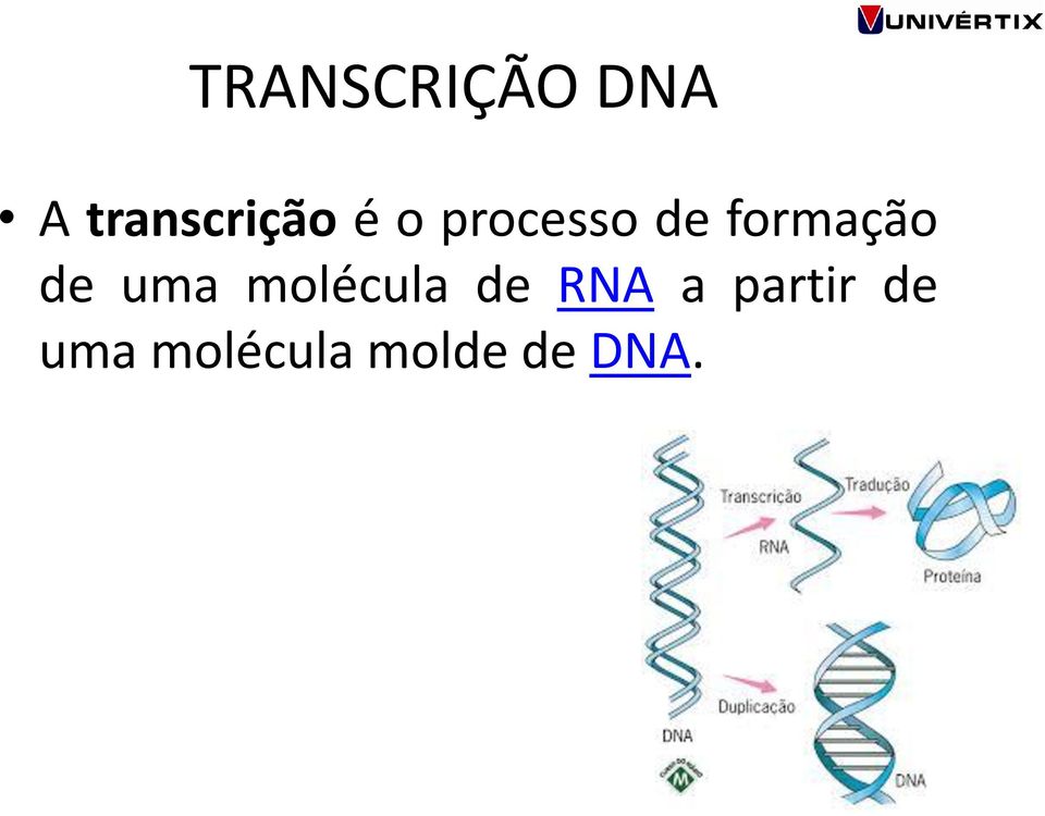 formação de uma molécula de