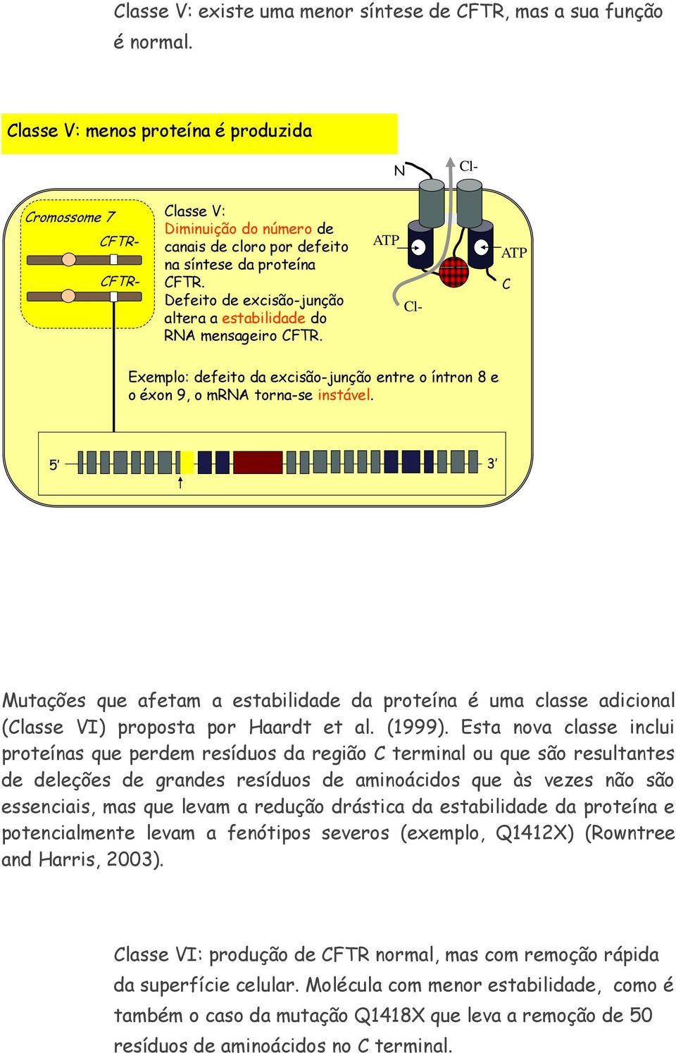 Defeito de excisão-junção altera a estabilidade do RA mensageiro FTR. Exemplo: defeito da excisão-junção entre o íntron 8 e o éxon 9, o mra torna-se instável.