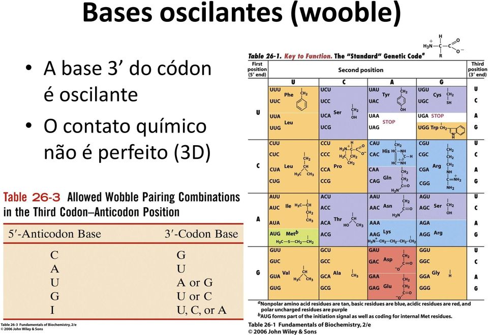 códon é oscilante O