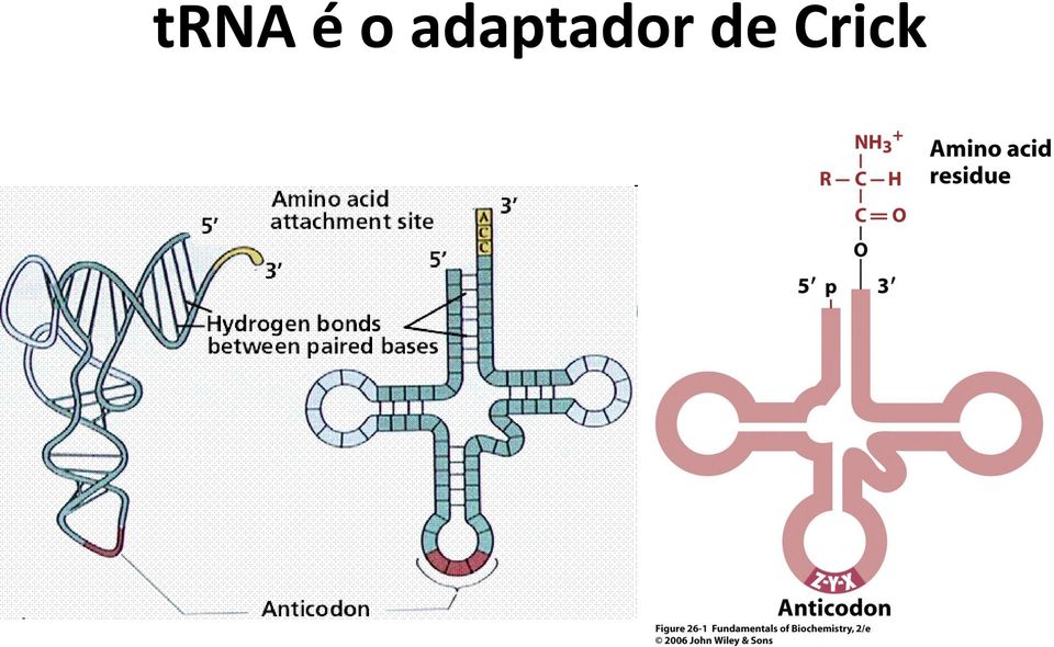 adaptador