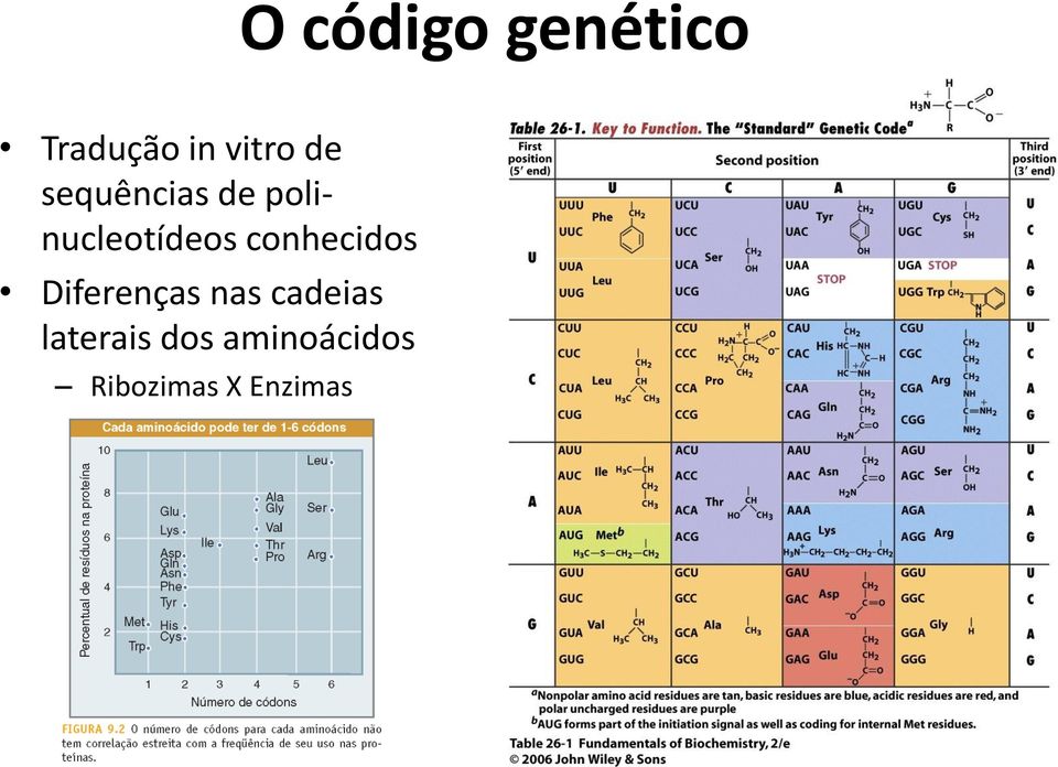 conhecidos Diferenças nas cadeias