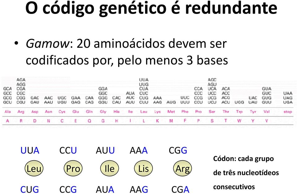 CCU AUU AAA CGG Leu Pro Ile Lis Arg CUG CCG AUA AAG