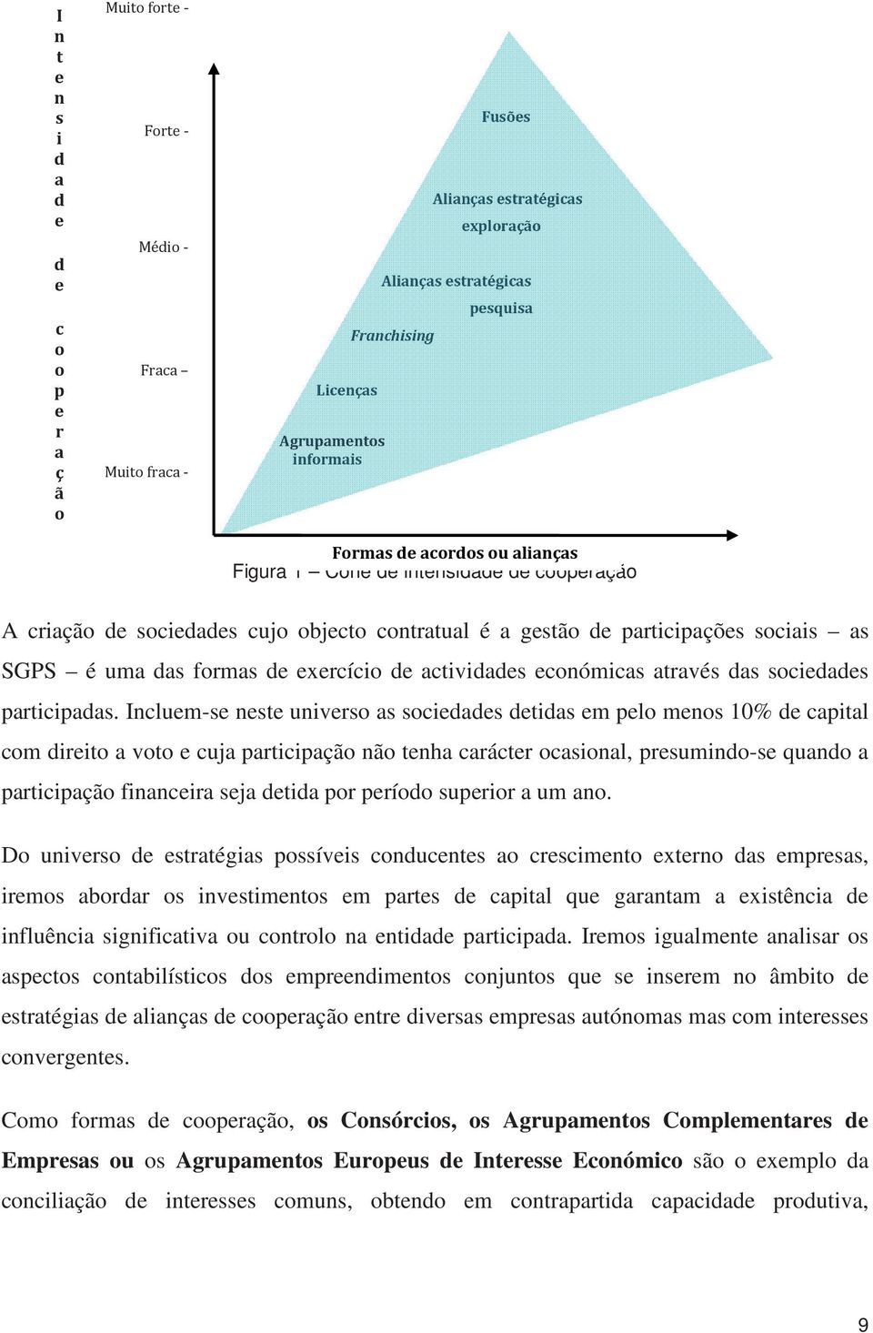 formas de exercício de actividades económicas através das sociedades participadas.