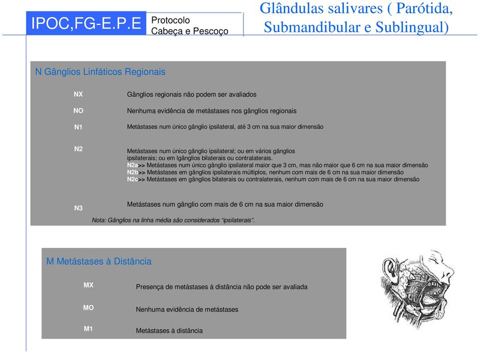 ou contralaterais.