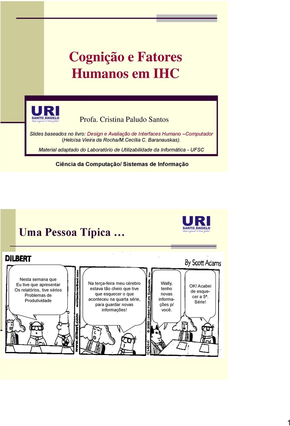 Material adaptado do Laboratório de Utilizabilidade da Informática - UFSC Ciência da Computação/ Sistemas de Informação Uma Pessoa Típica Nesta semana que Eu