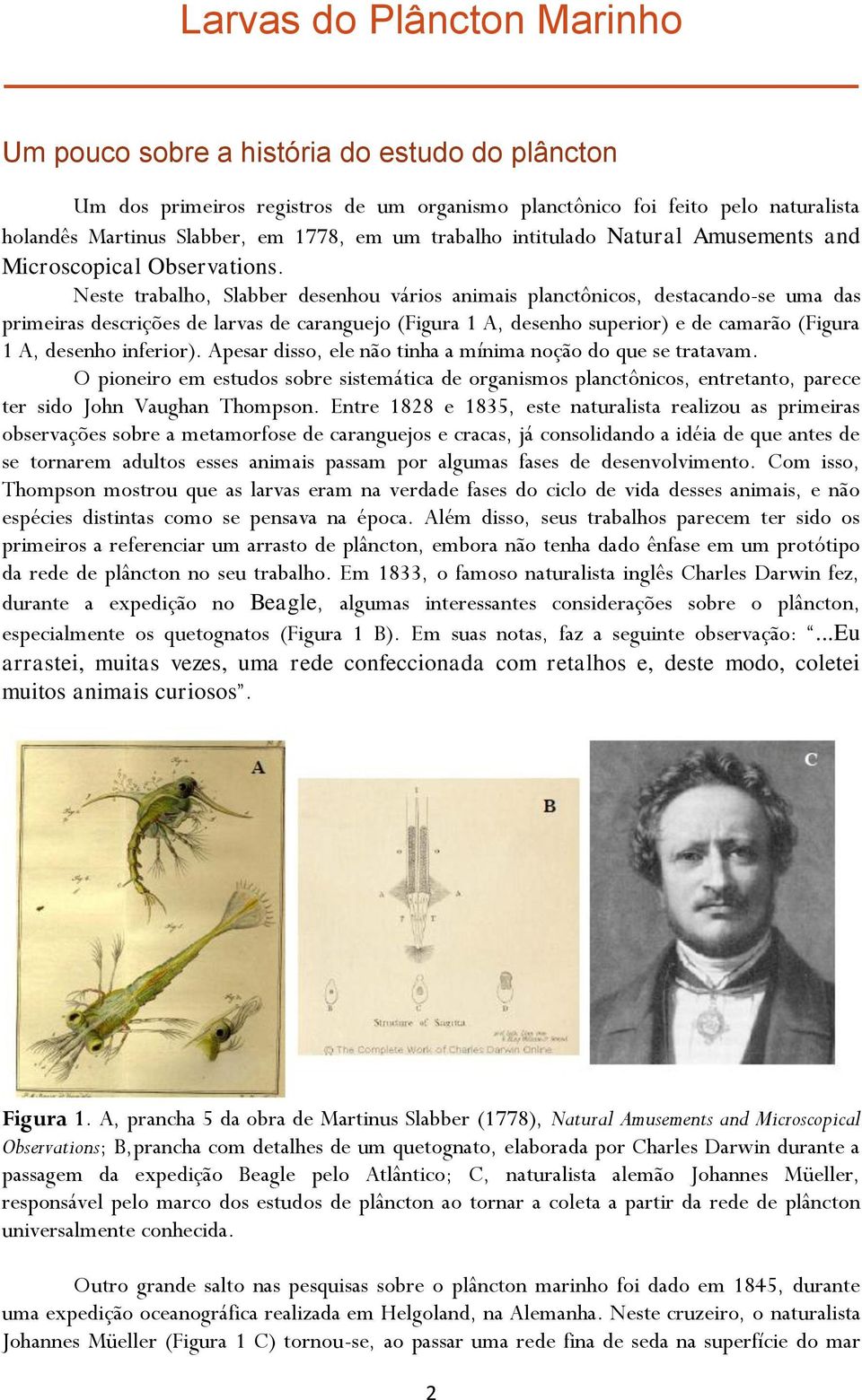 Neste trabalho, Slabber desenhou vários animais planctônicos, destacando-se uma das primeiras descrições de larvas de caranguejo (Figura 1 A, desenho superior) e de camarão (Figura 1 A, desenho