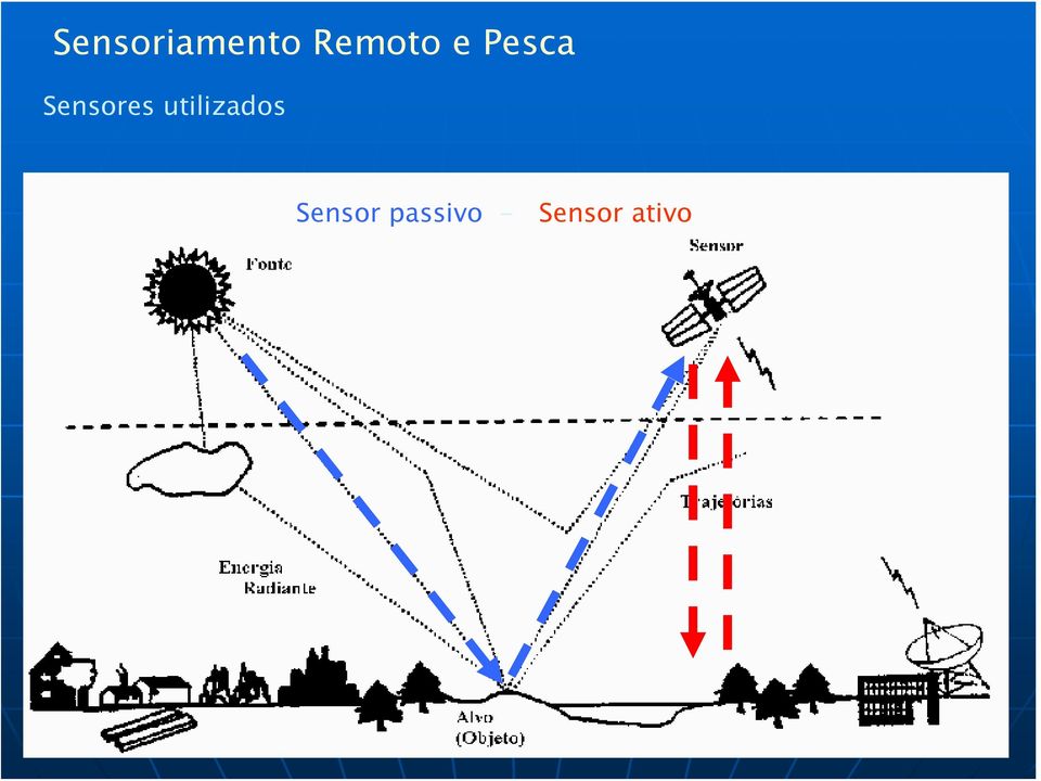 Sensores utilizados