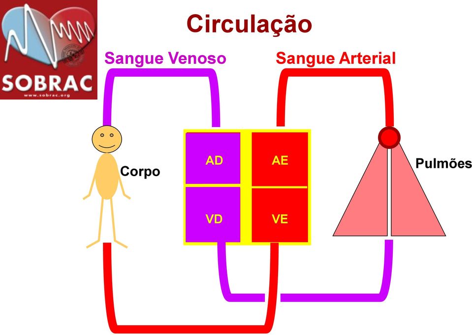 Sangue Arterial