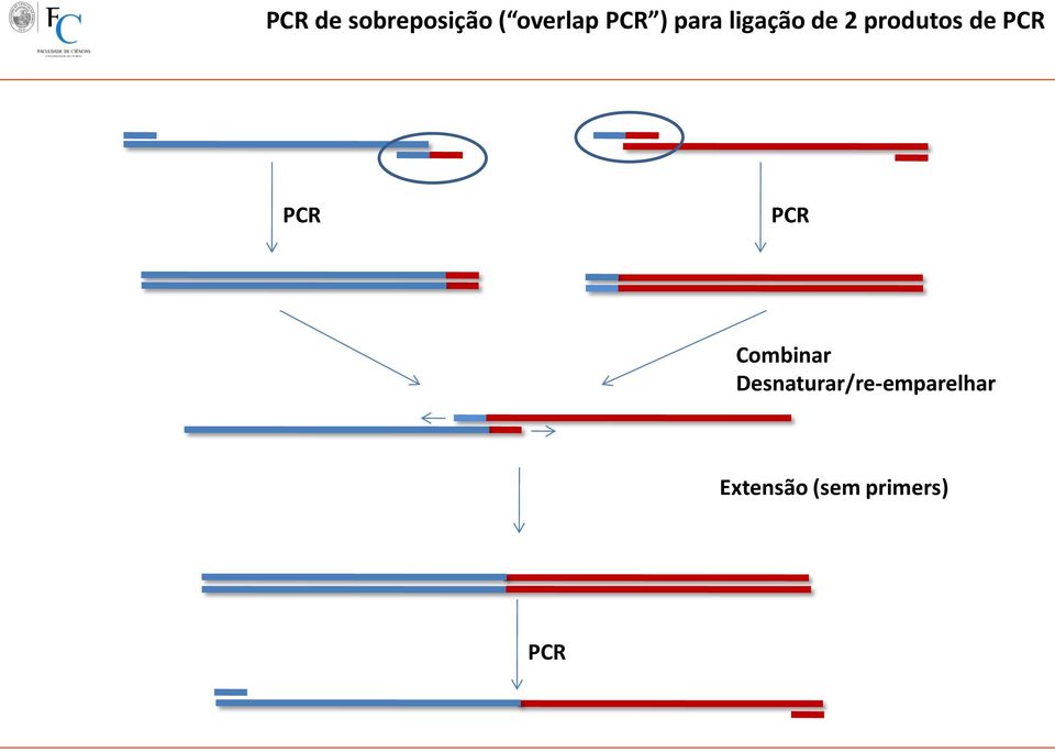 PCR PCR PCR Combinar