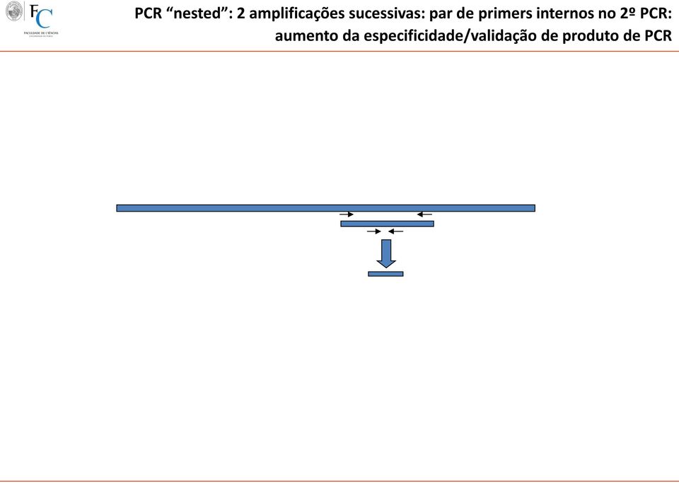 internos no 2º PCR: aumento da