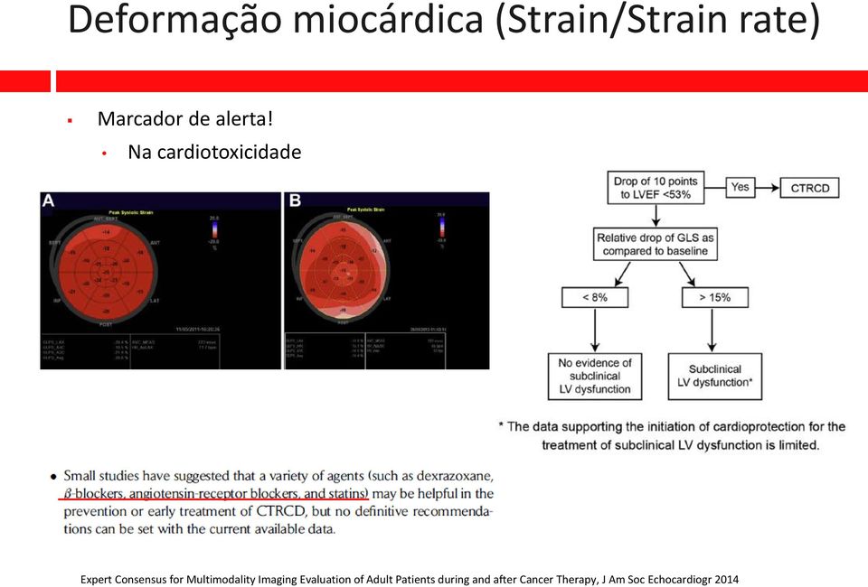 Na cardiotoxicidade Expert Consensus for