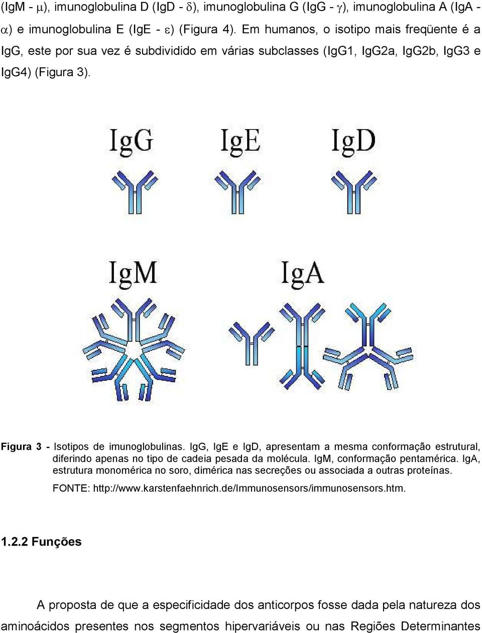 IgG, IgE e IgD, apresentam a mesma conformação estrutural, diferindo apenas no tipo de cadeia pesada da molécula. IgM, conformação pentamérica.