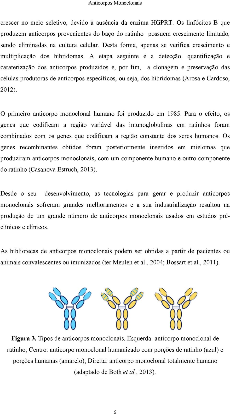 A etapa seguinte é a detecção, quantificação e caraterização dos anticorpos produzidos e, por fim, a clonagem e preservação das células produtoras de anticorpos específicos, ou seja, dos hibridomas