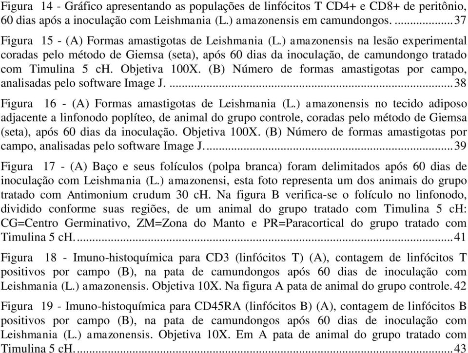 ) amazonensis na lesão experimental coradas pelo método de Giemsa (seta), após 60 dias da inoculação, de camundongo tratado com Timulina 5 ch. Objetiva 100X.