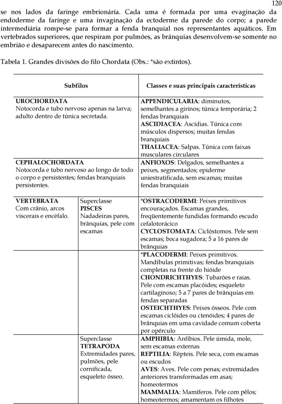 aquáticos. Em vertebrados superiores, que respiram por pulmões, as brânquias desenvolvem-se somente no embrião e desaparecem antes do nascimento. Tabela 1. Grandes divisões do filo Chordata (Obs.