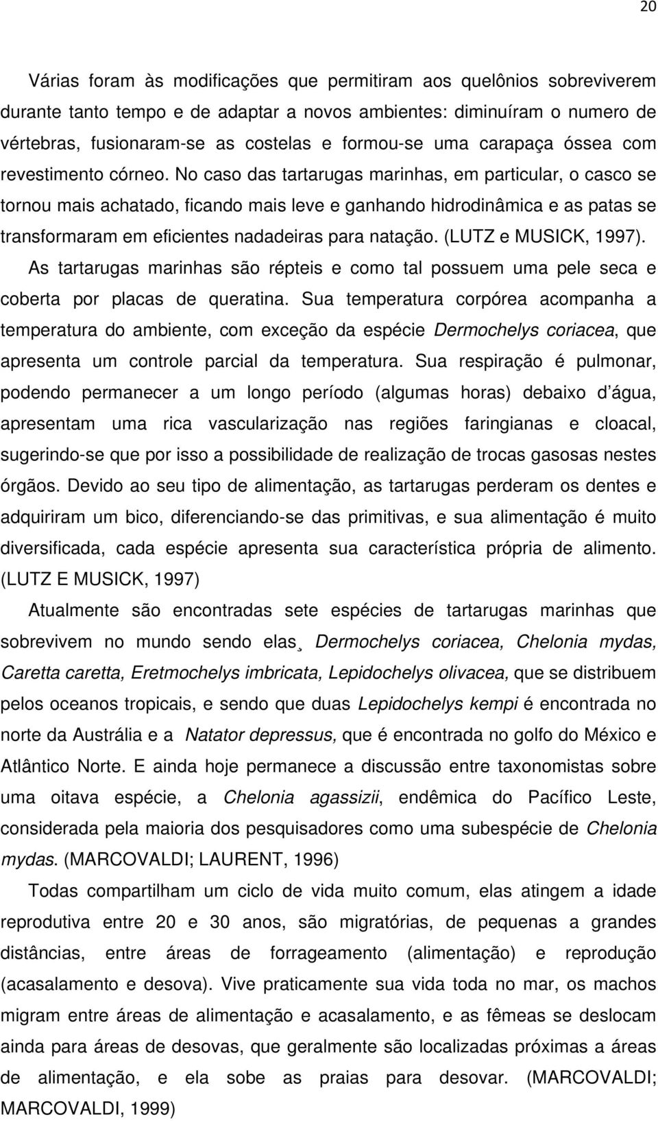 No caso das tartarugas marinhas, em particular, o casco se tornou mais achatado, ficando mais leve e ganhando hidrodinâmica e as patas se transformaram em eficientes nadadeiras para natação.