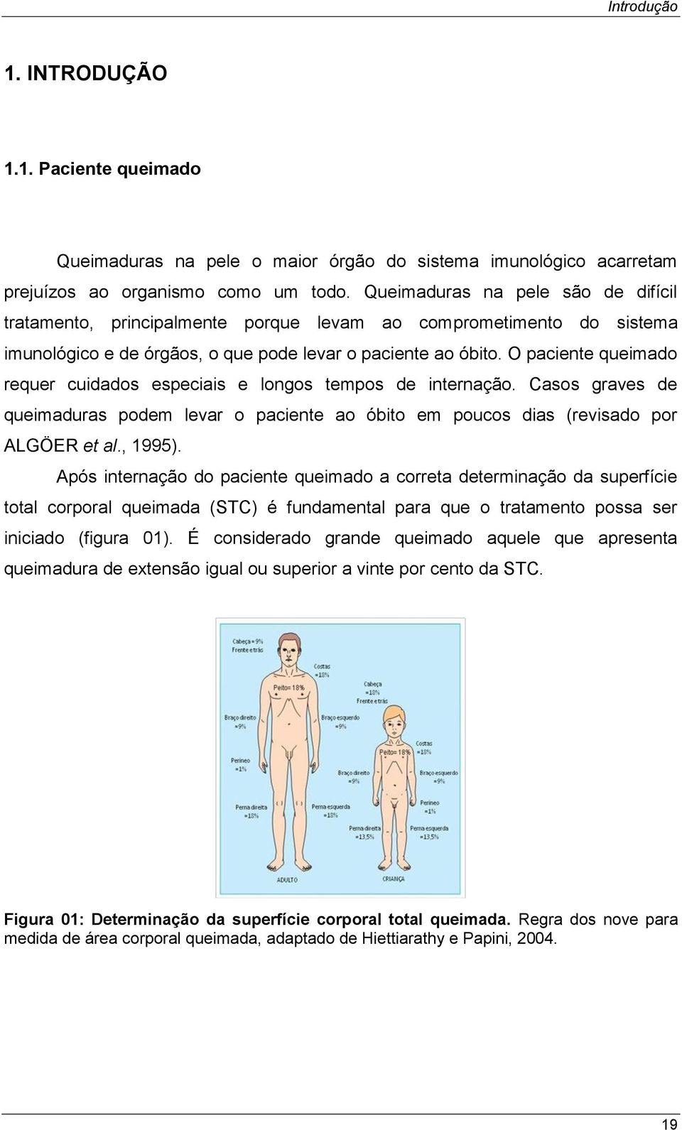 O paciente queimado requer cuidados especiais e longos tempos de internação. Casos graves de queimaduras podem levar o paciente ao óbito em poucos dias (revisado por ALGÖER et al., 1995).