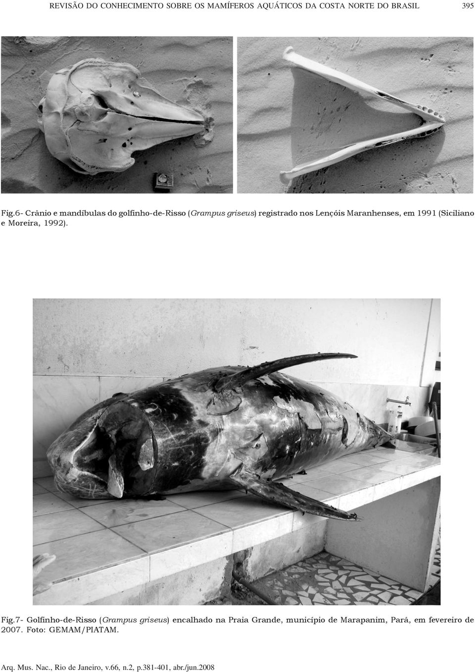 Maranhenses, em 1991 (Siciliano e Moreira, 1992). Fig.