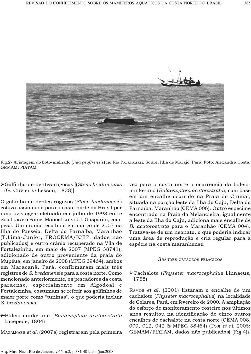 Cuvier in Lesson, 1828)] O golfinho-de-dentes-rugosos (Steno bredanensis) estava assinalado para a costa norte do Brasil por uma avistagem efetuada em julho de 1998 entre São Luís e o Parcel Manoel