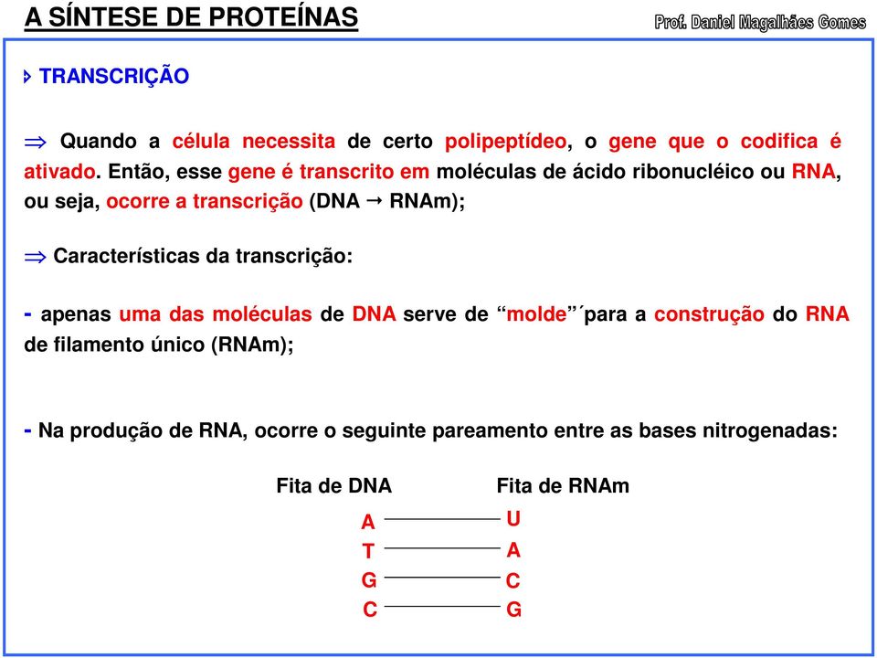 Características da transcrição: - apenas uma das moléculas de DNA serve de molde para a construção do RNA de filamento