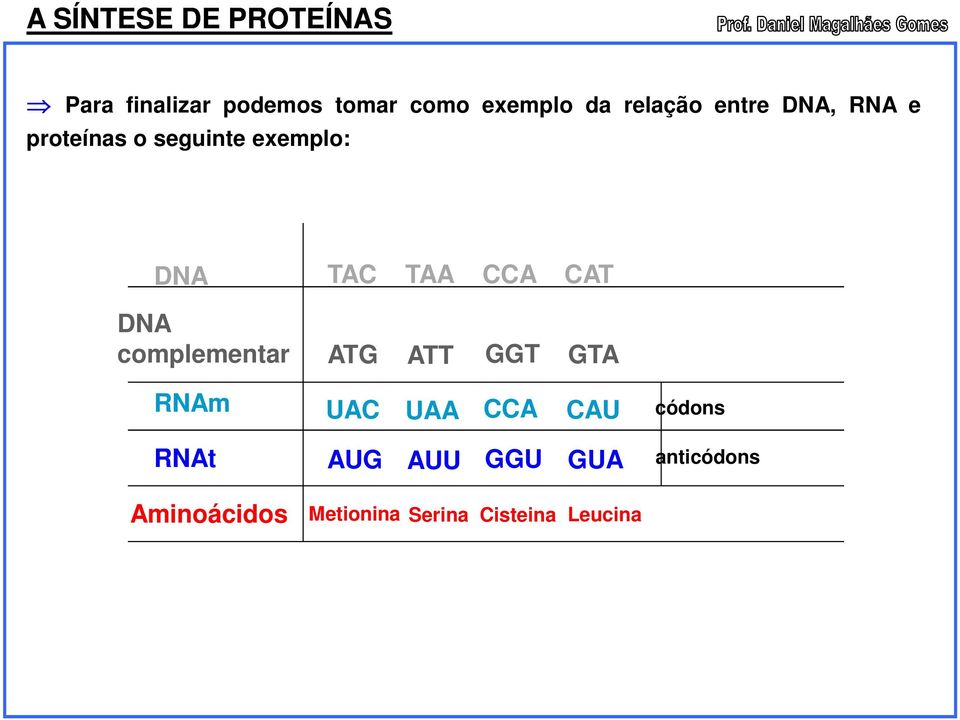 complementar RNAm RNAt Aminoácidos TAC TAA CCA CAT ATG ATT GGT GTA UAC