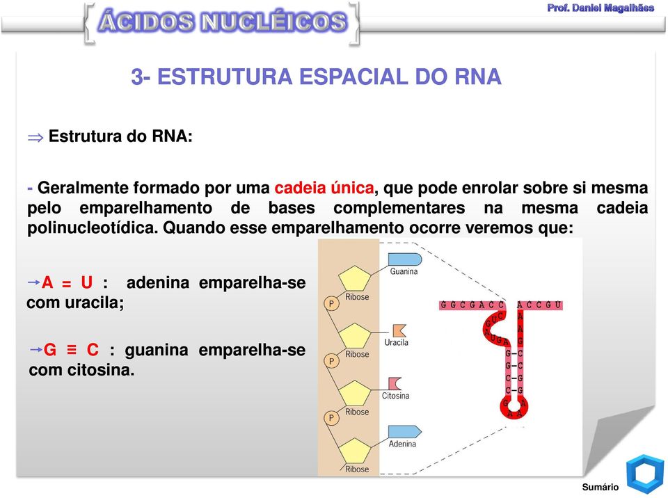 na mesma cadeia polinucleotídica.