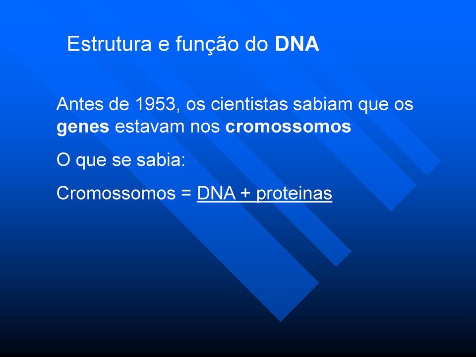 genes estavam nos cromossomos O que