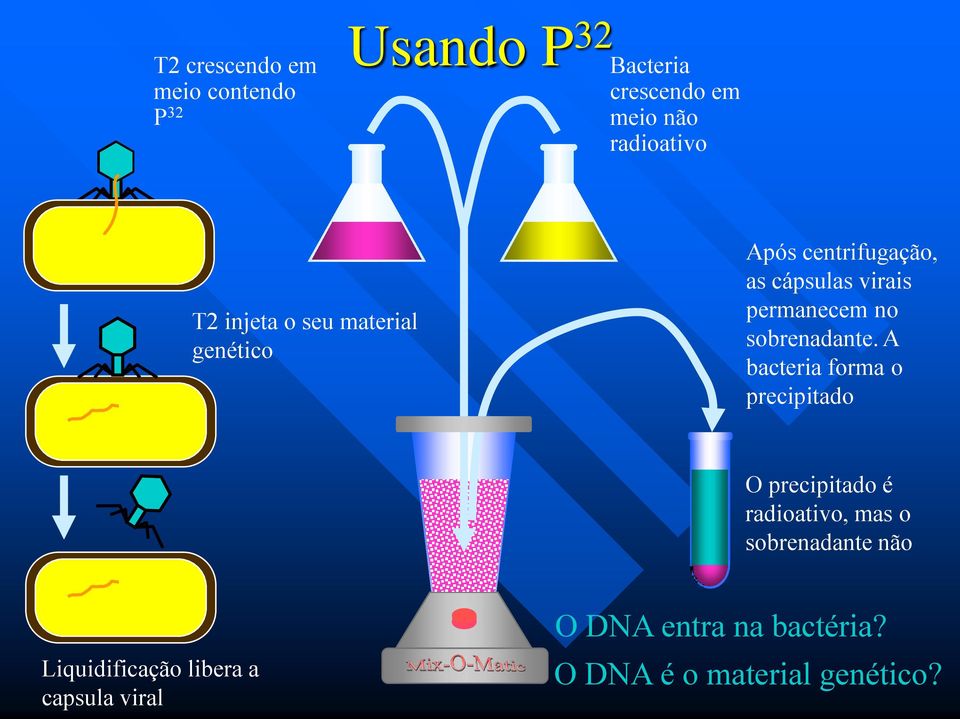 sobrenadante.