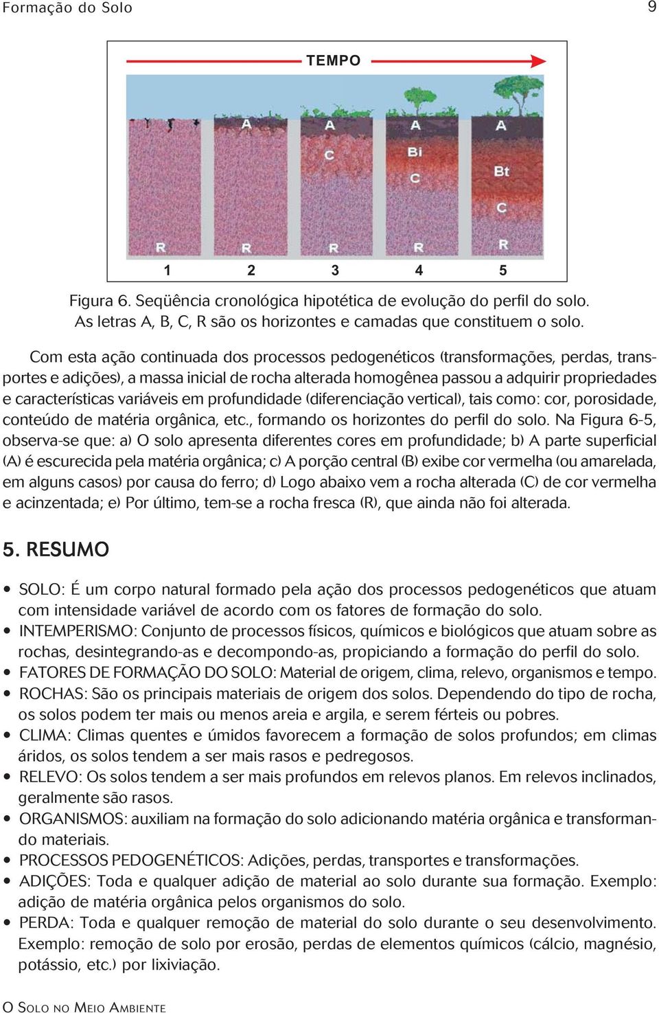 Na Figura 6-5, observa-se que: a) O solo apresenta diferentes cores em profundidade; b) A parte superficial (A) é escurecida pela matéria orgânica; c) A porção central (B) exibe cor vermelha (ou