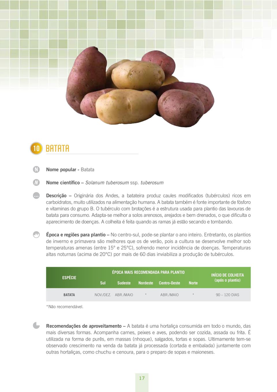 A batata também é fonte importante de fósforo e vitaminas do grupo B. O tubérculo com brotações é a estrutura usada para plantio das lavouras de batata para consumo.