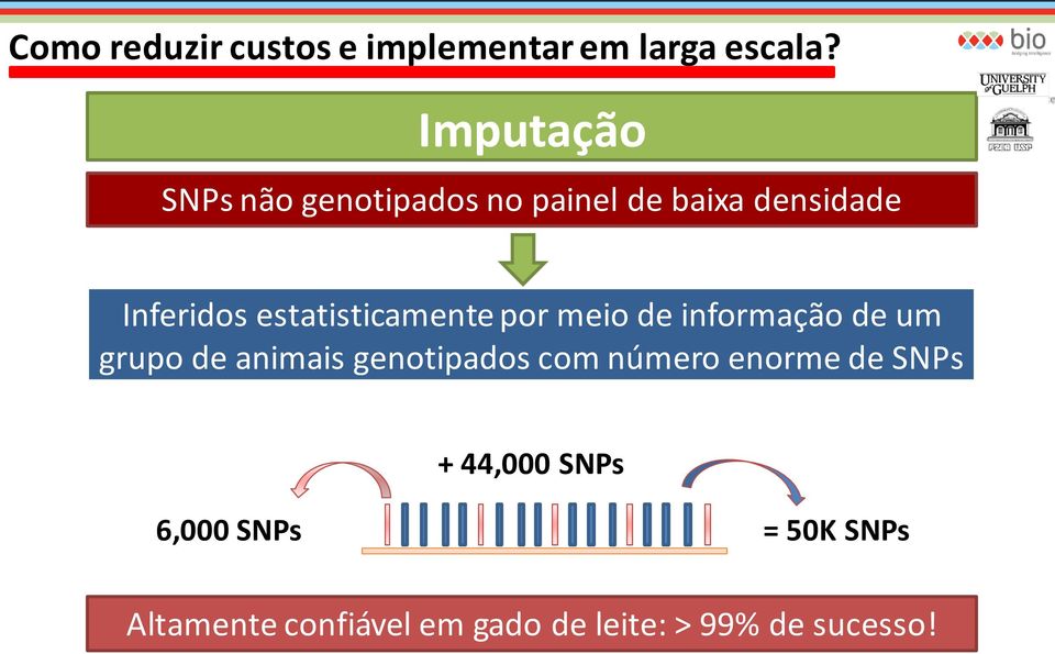 estatisticamente por meio de informação de um grupo de animais genotipados com