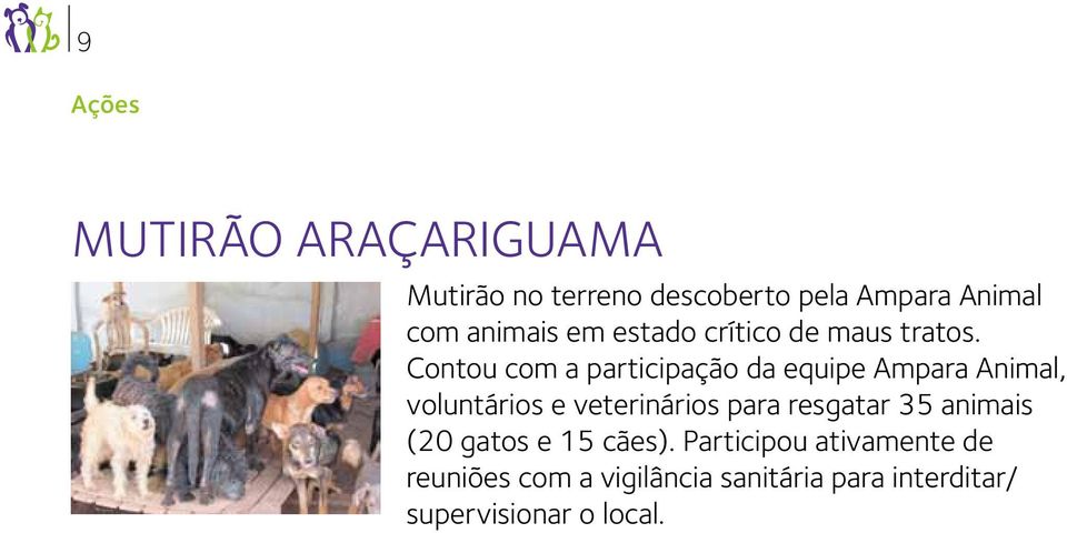 Contou com a participação da equipe Ampara Animal, voluntários e veterinários para