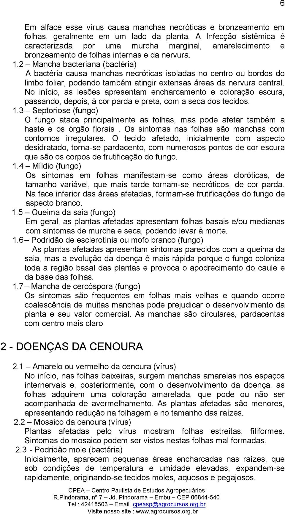 2 Mancha bacteriana (bactéria) A bactéria causa manchas necróticas isoladas no centro ou bordos do limbo foliar, podendo também atingir extensas áreas da nervura central.