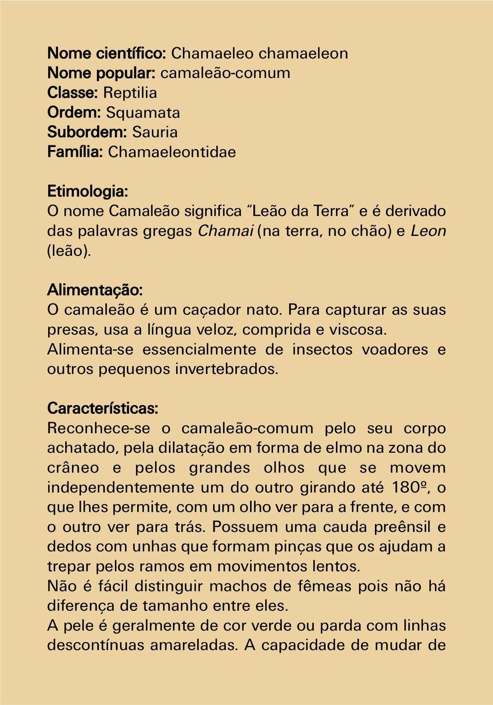 Alimenta-se essencialmente de insectos voadores e outros pequenos invertebrados.