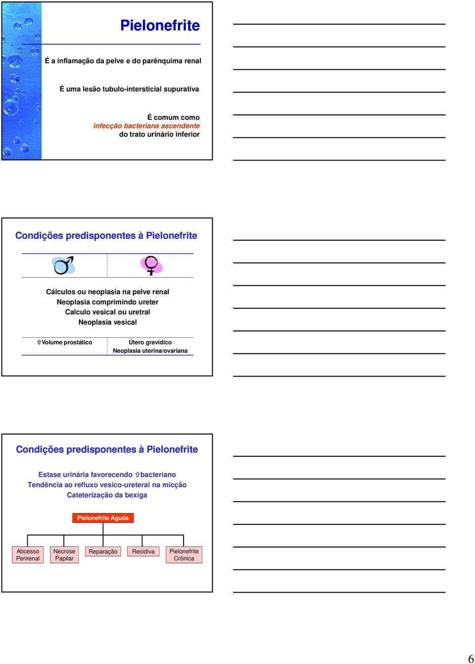 Neoplasia vesical Volume prostático Útero gravídico Neoplasia uterina/ovariana Condições predisponentes à Pielonefrite Estase urinária favorecendo bacteriano