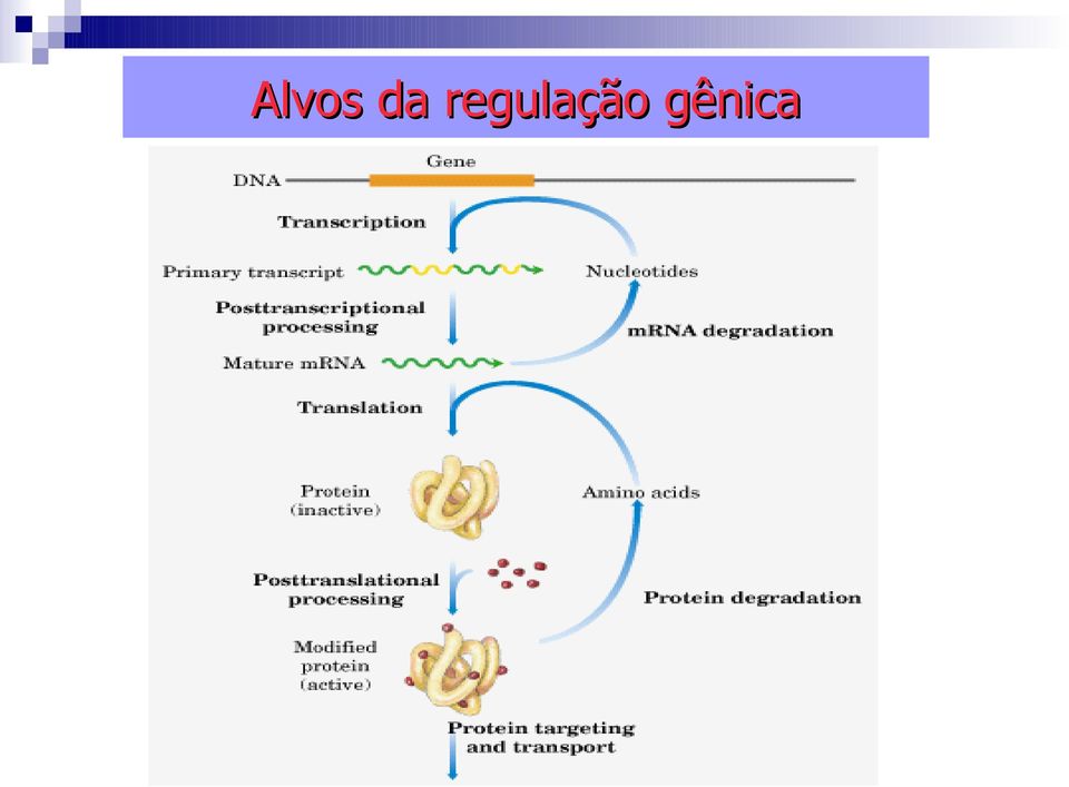 gênica